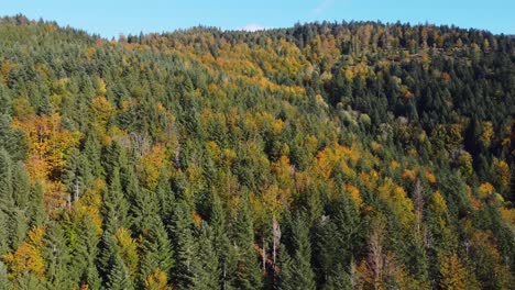 Entspannende-Luftaufnahme-Des-Herbstlaubwaldes-Während-Der-Herbstsaison-In-Den-Bergen