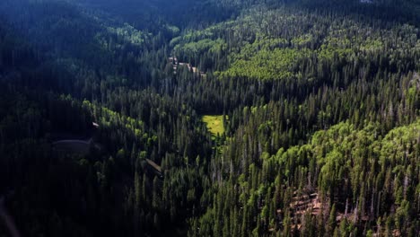 Stunningly-beautiful-aerial-drone-landscape-nature-view-of-a-large-pine-tree-forest-up-Beaver-Canyon-in-Utah-on-a-warm-sunny-summer-morning-with-small-openings-of-green-meadows-and-a-small-dirt-path