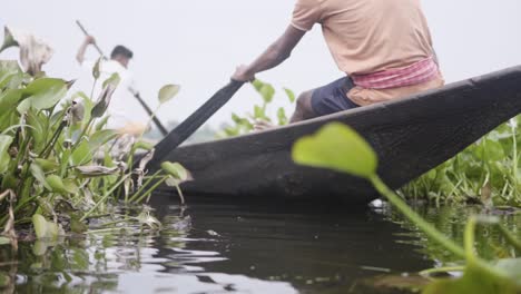 Poor-Indian-fisherman-rowing-boat-in-river-in-Sundarban,-River-with-Philodendron-plants,-slow-motion