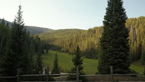 Beautiful-tilt-up-shot-of-a-gorgeous-stunning-green-meadow-in-the-middle-of-a-large-pine-tree-forest-up-in-the-mountains-with-a-wooden-fence-on-a-warm-sunny-summer-day-up-Beaver-Canyon-in-Utah