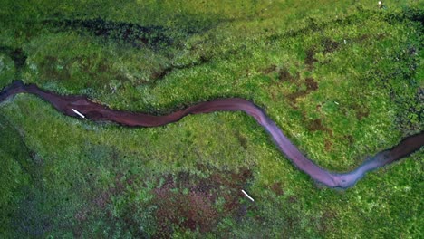 Beautiful-aerial-drone-top-bird's-eye-view-shot-of-a-small-wild-stream-surrounded-by-a-field-of-grass-that-leads-into-the-Anderson-Meadow-Reservoir-lake-up-Beaver-Canyon-in-Utah-on-a-warm-summer-day