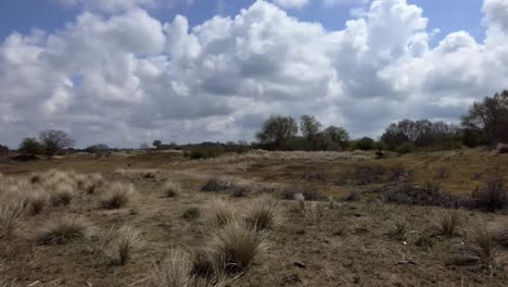 Dutch-dune-landscape,-beautiful-cloudy-sky,-background-footage
