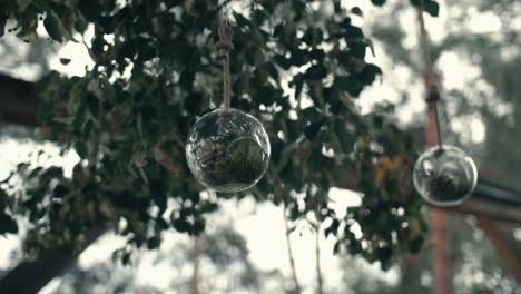 Decorative-pinecones-inside-crystal-balls-hanging-from-a-tree,-with-other-trees-in-the-background