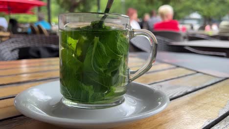 Fresh-mint-tea-outdoors-in-a-beergarden