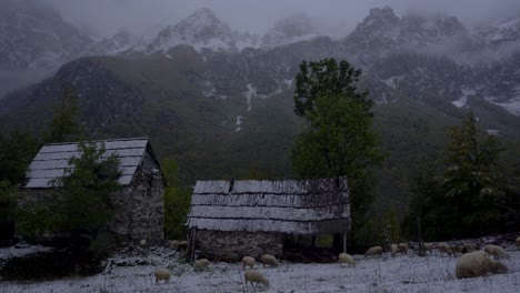 Schafe-Grasen-Auf-Einer-Mit-Weißem-Schnee-Bedeckten-Wiese-In-Der-Nähe-Eines-Steinhauses-Und-Eines-Stalls-Im-Alpendorf