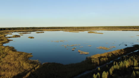 Natural-landscape-with-light-blue-lake-and-endless-forest,-aerial-ascend-view