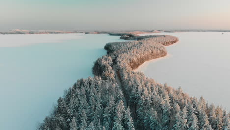 Aerial,-drone-shot,-above-a-road,-in-the-middle-of-a-ness,-full-of-snowy,-spruce-tree-forest,-surrounded-by-frozen-lake-Saimaa,-on-a-sunny,-winter-evening-dusk,-in-Vuoniemi,-Pohjois-Karjala,-Finland