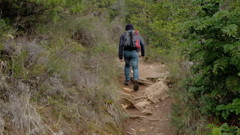Hombre-Fotógrafo-Excursionista-Con-Mochila-Y-Trípode-Caminando-Por-Un-Sendero-Rodeado-De-Bosque-Verde-Alejándose-De-La-Cámara