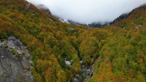 High-mountains-covered-with-colorful-foliage-in-Autumn,-and-misty-fog-over-high-peaks