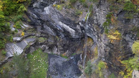 Wasserfall-Am-Hang-Des-Felsigen-Berges-In-Den-Alpen-Und-Herde-Von-Schafen,-Die-Auf-Grüner-Wiese-Grasen