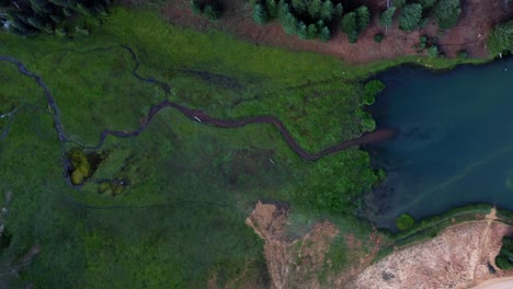 Beautiful-aerial-drone-top-bird's-eye-descending-shot-of-a-small-stream-surrounded-by-a-field-of-grass-that-leads-into-the-Anderson-Meadow-Reservoir-lake-up-Beaver-Canyon-in-Utah-on-a-warm-summer-day
