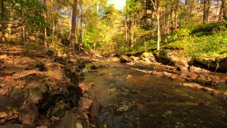 Time-lapse-of-a-beautiful-woodland-stream-during-spring-in-the-Appalachian-mountains