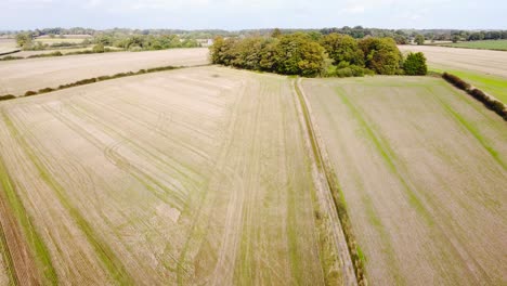 Aerial:-deforested-cultivated-agricultural-farmland-field-in-England---drone-flying-forward-shot