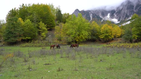 Pferde-Grasen-Auf-Der-Wiese,-Umgeben-Von-Bunten-Bäumen-Im-Herbst-Mit-Alpengebirgshintergrund