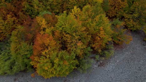 Herbstfarbpalette-Auf-Schönem-Alpental-Mit-Goldenen-Baumblättern