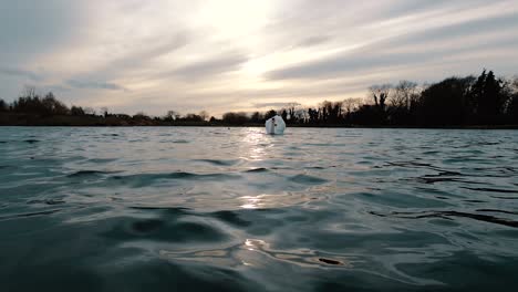Tiefwinkelaufnahme-über-Wasser,-Während-Ein-Weißer-Schwan-Bei-Sonnenuntergang-An-Der-Kamera-Vorbeischwimmt