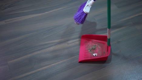 sweeping-the-house-floor-with-the-broom-and-dustpan-collecting-house-dust