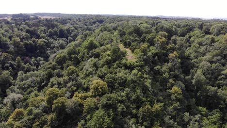 Aerial-Over-Leigh-Woods-National-Nature-Reserve-Outside-Bristol