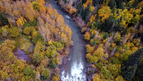 Aerial-View,-River-and-Colorful-Forest-in-American-Countryside-at-Autumn-Season