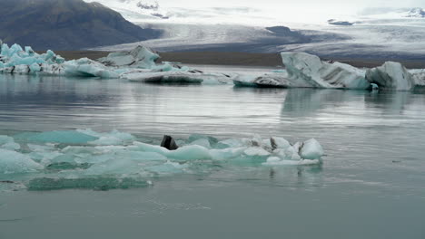 Vista-Panorámica-De-Los-Icebergs-En-La-Laguna-Del-Glaciar-Jokulsarlon,-Islandia---Plano-Amplio-Y-Estático