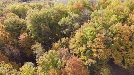 Fpv-4k-Luftbildvideo-Im-Herbst