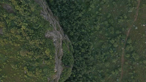 Top-down-of-steep-vertical-rock-cliff-with-green-vegetation-in-valley-below