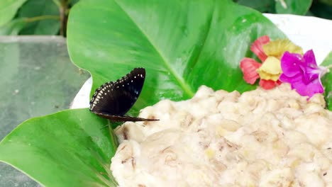 Schmetterlingsausschlag-Auf-Stapel-Von-Lebensmitteln-Und-Blättern