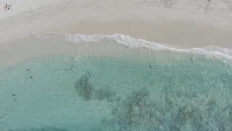 Vogelperspektive-Auf-Die-Wellen,-Die-An-Einem-Wunderschönen-Weißen-Strand-In-Hawaii-Rollen