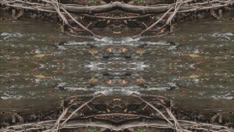 Kaleidoskop-Aus-Naturaufnahmen,-Wissahickon-Creek