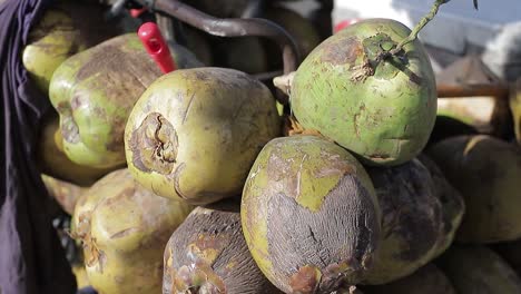 Nah,-Dof:-Ein-Zweig-Voller-Reifer-Grüner-Kokosnüsse-Auf-Einem-Bauernmarkt-In-Der-Hauptstadt-Santo-Domingo