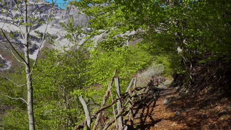 Walking-in-a-mountain-alley-fenced-in-the-Albanian-Alps-near-a-tourist-village