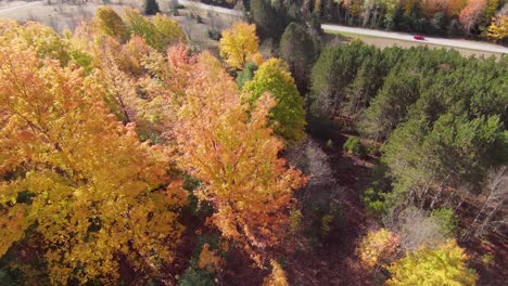 Herbstfarben-Am-Gipfel-Per-Drohne