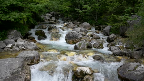 Nahaufnahmen-Eines-Wunderschönen-Bergflusses,-Stromschnellen,-Die-über-Herabstürzende-Wasserfälle-Fließen-Und-Tief-In-Den-Bewaldeten-Wald-Fließen