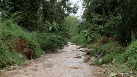 Fast-flowing-river-running-through-rocky-terrain-lush-green-jungle-dense-trees