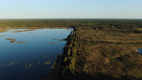 Straight-line-between-lakewater-and-forestry-landscape-of-Lithuania,-aerial-side-fly-view