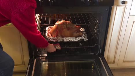 Person-opening-the-oven-and-basting-the-turkey-for-the-holiday-feast-about-to-happen