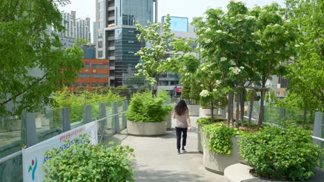 Back-view-of-the-woman-walking-along-Seoullo-7017-skygarden-park-walkway