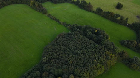 Aerial-view-of-deciduous-and-coniferous-treetops-in-the-middle-of-the-landscape