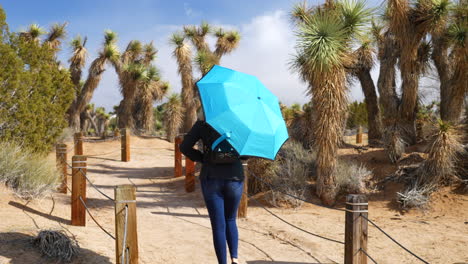 Mujer-Con-Un-Paraguas-De-Lluvia-Azul-Caminando-Por-El-Desierto-Con-árboles-De-Joshua-En-Un-Paseo-Por-La-Naturaleza-En-Cámara-Lenta