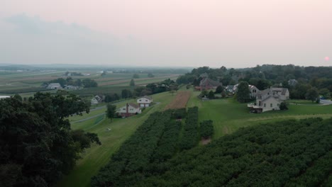 Aerial-of-drone-flying-in-midair-above-orchard-and-homes