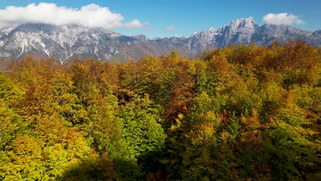 Forest-trees-with-colorful-leaves-in-Autumn,-Alps-mountains-background,-clouds,-and-blue-sky