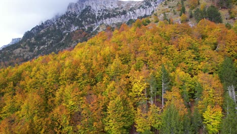 Paisaje-Natural-Con-Un-Bosque-Salvaje,-árboles-Altos-Y-Picos-De-Alta-Montaña-En-Las-Nubes-En-Albania
