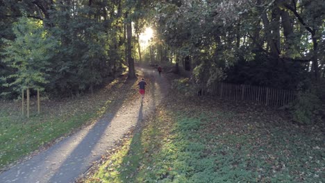 Male-runner-climbing-the-Woluwe-Park-in-Brussels-at-sunset,-rural-park-crossroad,-aerial-follow