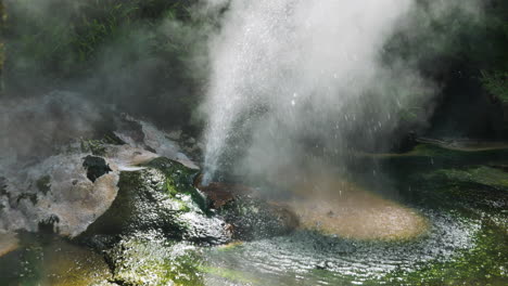 Close-up-of-spraying-water-of-geyser-in-deep-jungle-of-Waimangu,New-Zealand