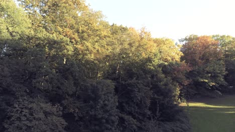 Luftaufnahme-Des-Farbenfrohen-Herbstparks,-Die-Sonne-Beleuchtet-Einen-Teil-Der-Laubbäume
