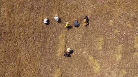 Drone-shot-of-men-working-in-a-hay-field