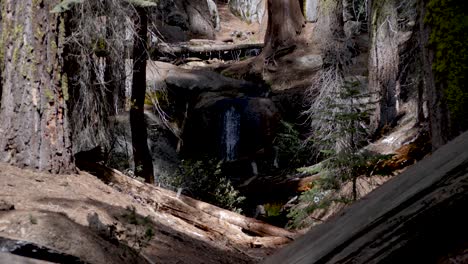 Kleiner-Wasserfall-Am-Congress-Trail-Im-Sequoia-National-Park