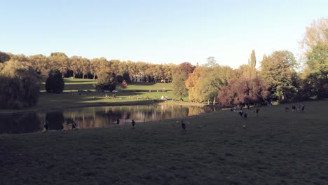 Gruppe-Von-Kindern,-Die-Bei-Sonnenuntergang-Auf-Wiesen-Am-See-Eines-Wunderschönen-Herbstparks-Spazieren-Gehen
