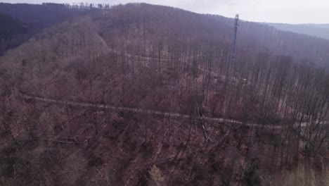Flying-Towards-Forest-Mountain-With-Trees-Having-Leafless-Branches-During-Winter