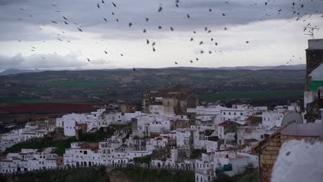 Eerie-scenery-high-above-village-hills-with-many-black-birds-flying